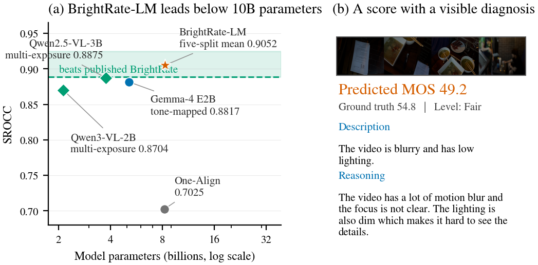 BrightRate-LM score, description, and reasoning example