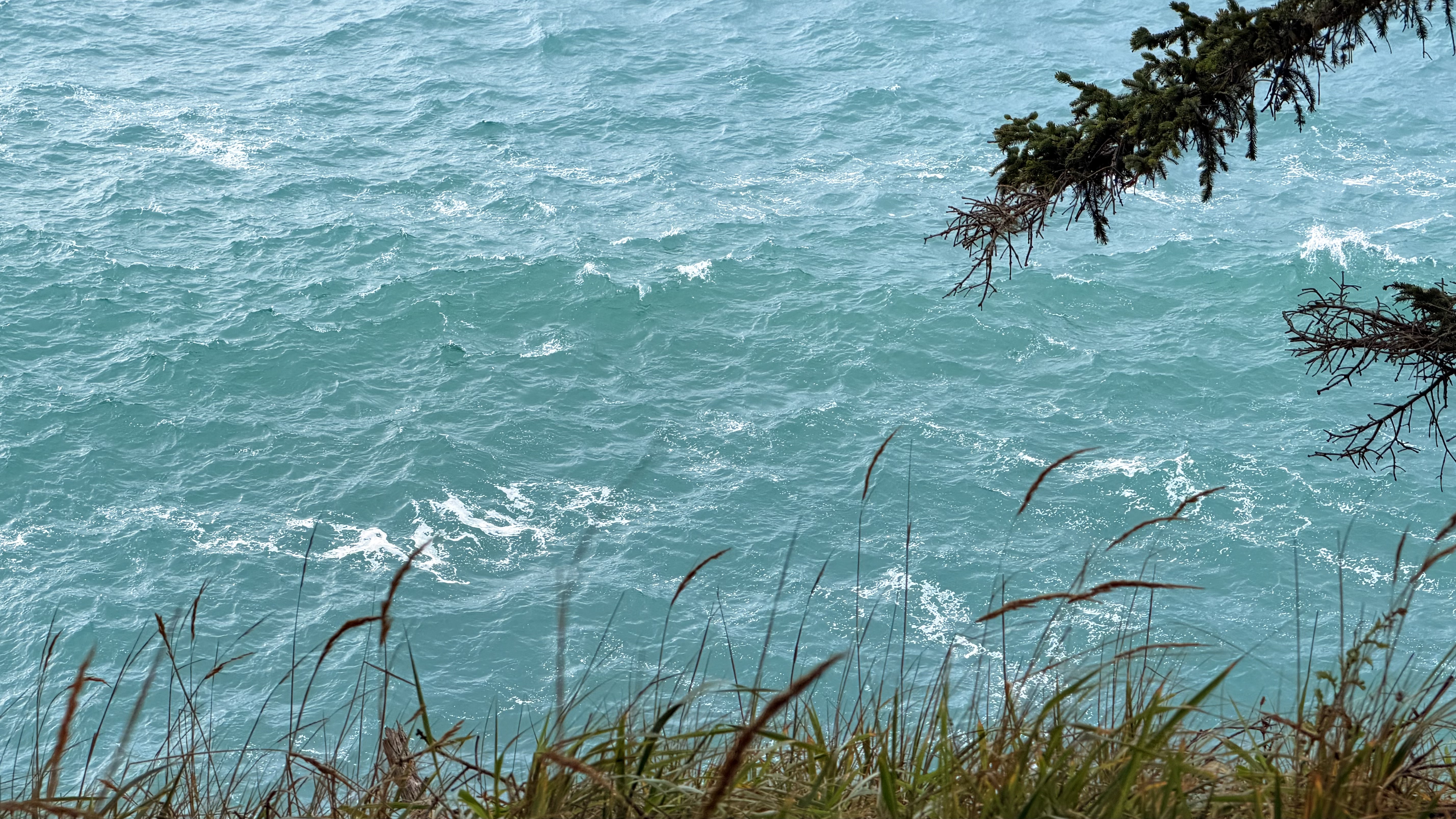 Turquoise water, with branches and grasses along the shore.