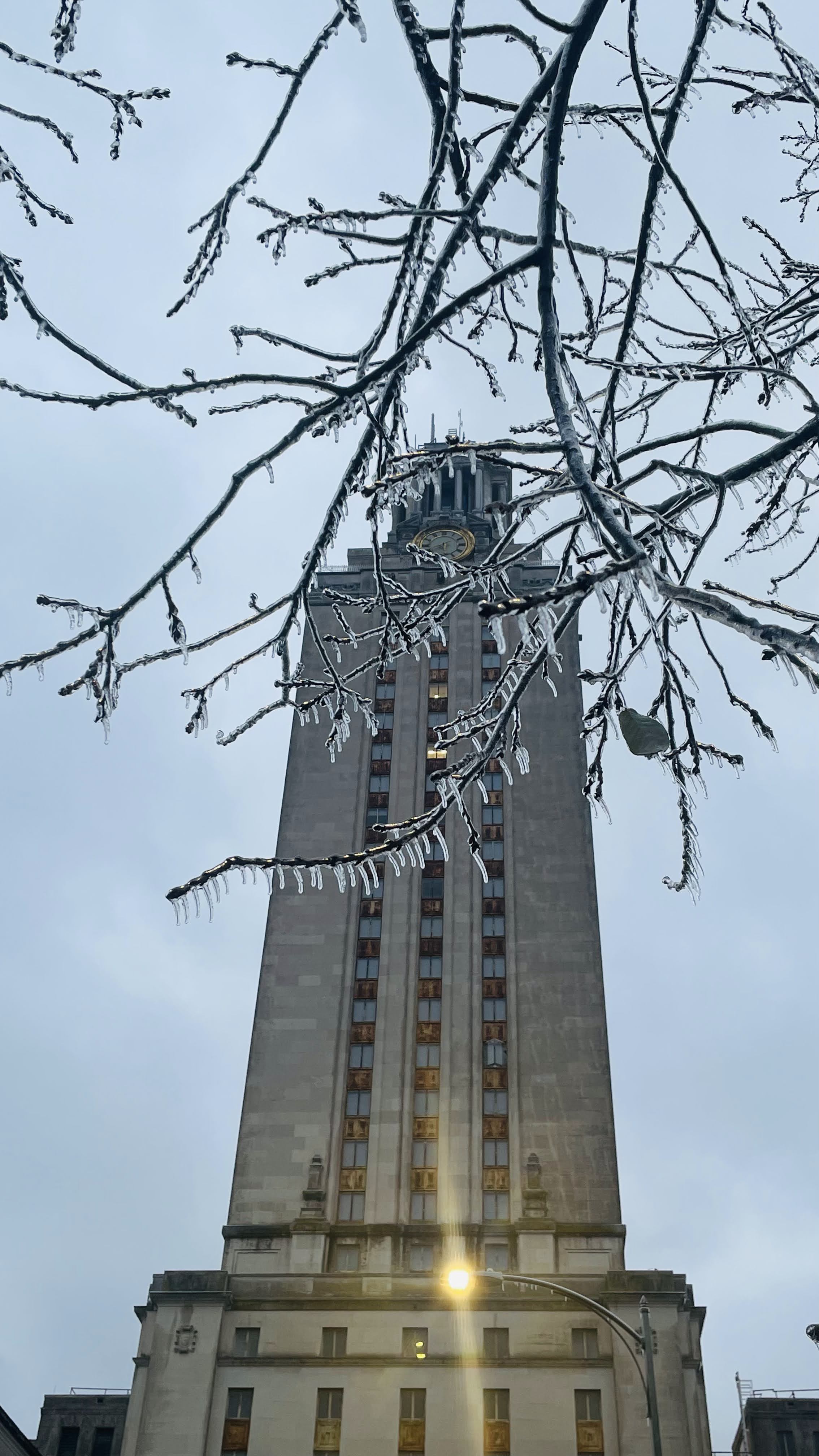 The UT Tower seen through ice-covered branches during my first winter in Austin.
